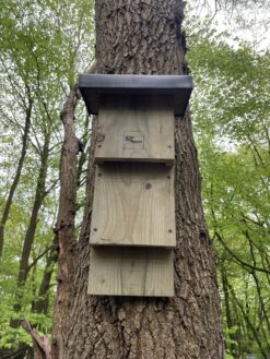 The Just Lead Bat Box - Image 3